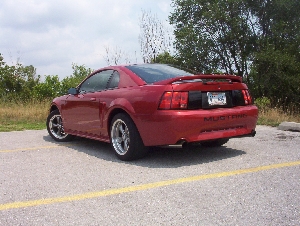 Mustang_609.jpg