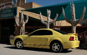 2001 Zinc Yellow Mustang No Description