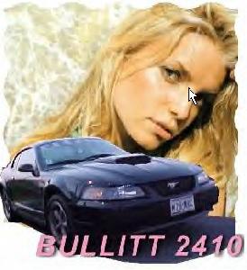2001 Black BULLITT No Description