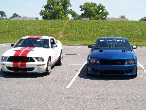 my_Saleen_and_a_Shelby_GT_500.JPG