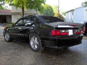 Mustang024.jpg