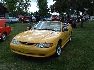 1994 Chrome Yellow GT Vert No Description