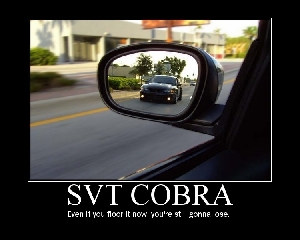 Cobra_poster.jpg