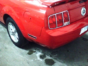 Mustang_21.jpg