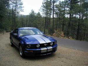 Mustang11.jpg