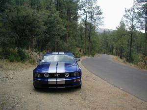 Mustang12.jpg
