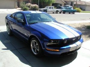 Mustang17.jpg