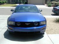 Mustang2.jpg