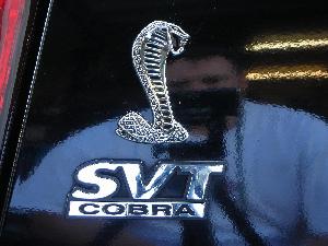 Cobra0199.JPG