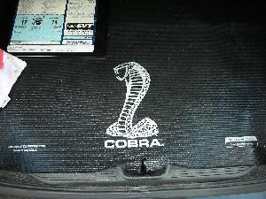 Cobra0371.JPG