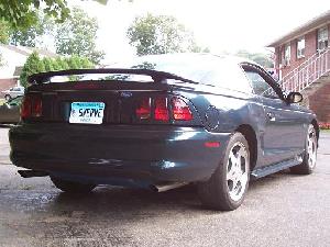 Mustang3.JPG