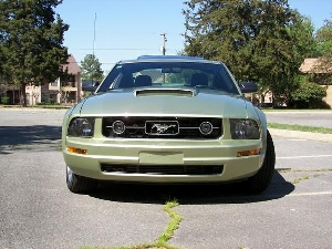 Stang_Front_View.jpg