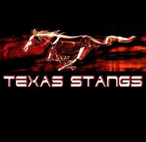 Texas_Stangs_1.JPG