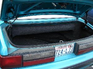 trunk.JPG