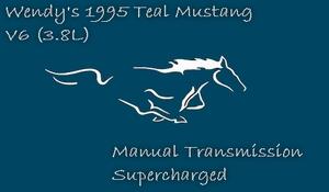 MustangBanner38.jpg